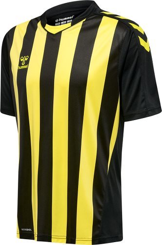 hmlCore Poly Striped Jersey