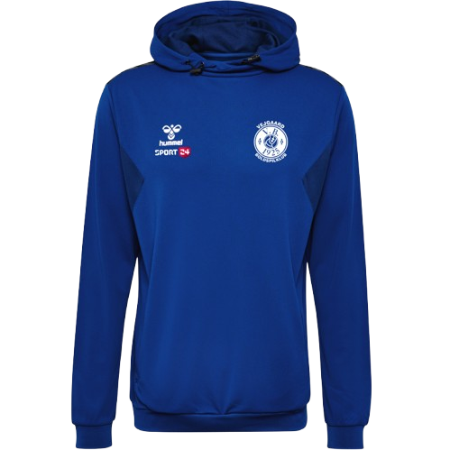 HmlAuthentic PL Hoodie Børn